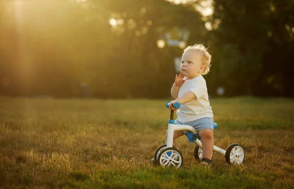 可爱的婴儿学会骑平衡自行车 一个小孩想在阳光灿烂的公园里骑自行车 这孩子梦想着成为一名自行车运动员 — 图库照片