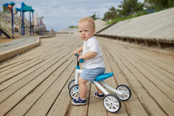 可爱的婴儿学会骑平衡自行车 一个小孩想在阳光灿烂的公园里骑自行车 这孩子梦想着成为一名自行车运动员 — 图库照片