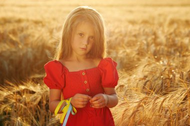 Güzel, uzun saçlı, hasır şapkalı şirin bir kızın portresi. Gün batımında bir buğday tarlasına karşı. Ukraynalı vatansever çocuk ülkesi için dua ediyor