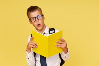 Gözlüklü, ders kitapları ve sarı arka planda sırt çantası olan bir okul çocuğunun portresi. Okula geri dön.