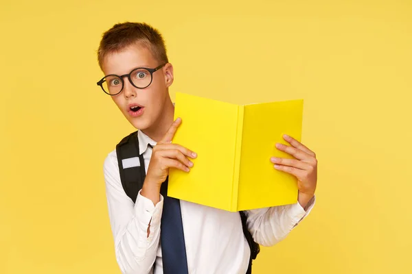 Retrato Colegial Gafas Con Libros Texto Una Mochila Sobre Fondo —  Fotos de Stock