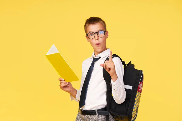 Portrait Schoolboy Glasses Textbooks Backpack Yellow Background Back School — Stockfoto
