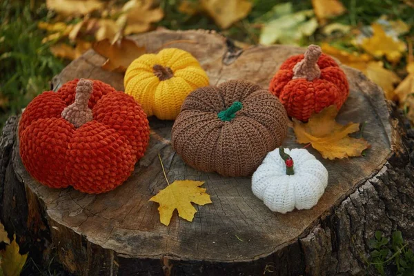 Knitted Pumpkins Forest Glade Autumn Handmade Home Decor Cozy Fall — Stock Photo, Image