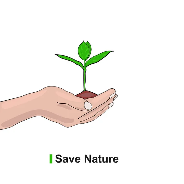 Spara Natur Hand Träd Premie Vektor — Stock vektor