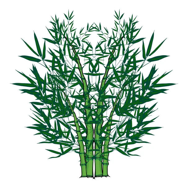 Bambu Árvore Natural Vetor Premium — Vetor de Stock