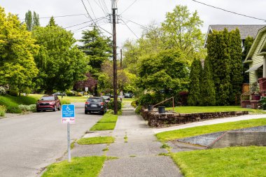 Mt. Baker Seattle. Yüksek kalite fotoğraf