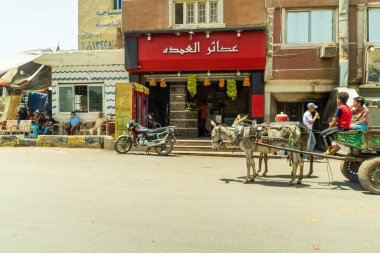 Giza Sokağı Fotoğrafları Mısır Yüksek Kaliteli Fotoğraflar