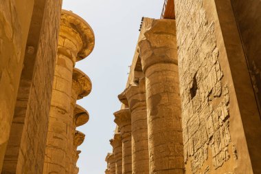 Karnak Tapınağı. Luxor, Mısır Yüksek Kaliteli Fotoğraf