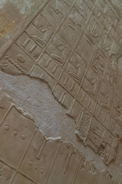 Saqqara Objeleri. Mısır Yüksek Kaliteli Fotoğraflar