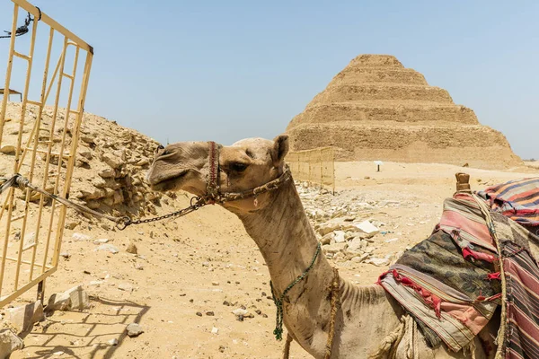 Saqqara Egito Foto Alta Qualidade — Fotografia de Stock