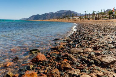 Dahab Mısır. Yüksek kalite fotoğraf