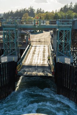 Bainbridge Adası Feribotu. Yüksek kalite fotoğraf