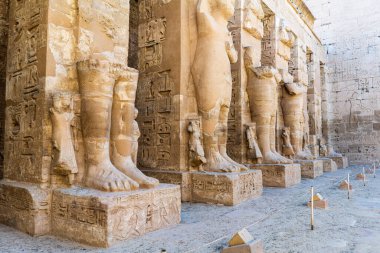 Luxor Tapınağı Luxor Mısır. Yüksek kalite fotoğraf