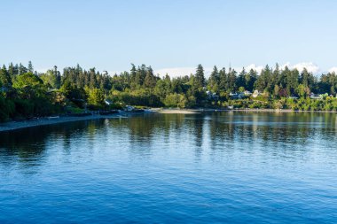 Bainbridge Adası Feribotu. Yüksek kalite fotoğraf