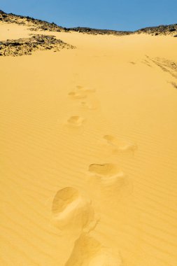 Kara Çöl Mısır. Yüksek kalite fotoğraf