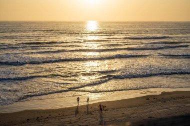 Meksika Sahili. Yüksek kalite fotoğraf