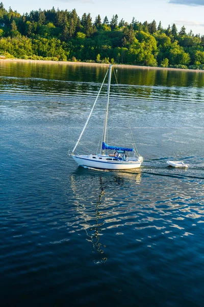 Bainbridge Adası Feribotu. Yüksek kalite fotoğraf