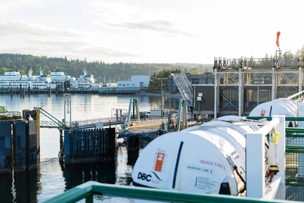 Bainbridge Adası Feribotu. Yüksek kalite fotoğraf