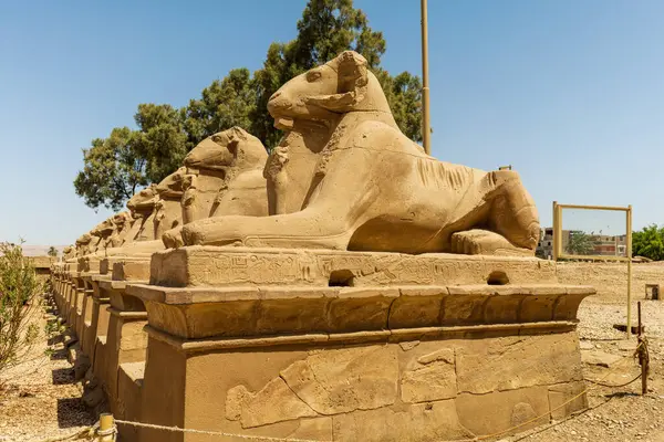 Karnak Tapınağı. Luxor, Mısır Yüksek Kaliteli Fotoğraf