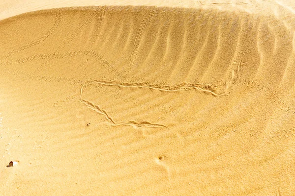 Deserto Bianco Egitto Foto Alta Qualità — Foto Stock