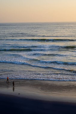 Meksika Sahili. Yüksek kalite fotoğraf