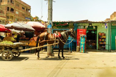 Giza Sokağı Fotoğrafları Mısır Yüksek Kaliteli Fotoğraflar