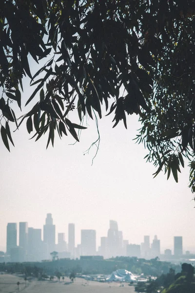 Los Angeles California ABD. Yüksek kalite fotoğraf