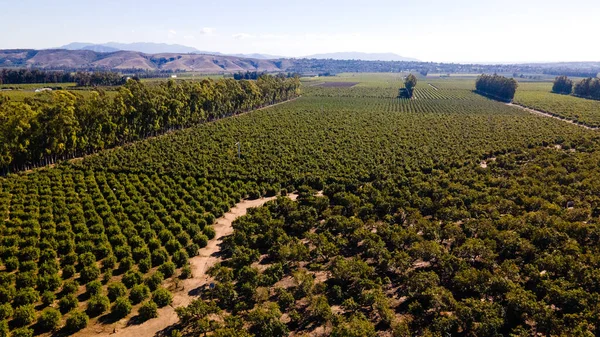 Oxnard California ABD. Yüksek kalite fotoğraf