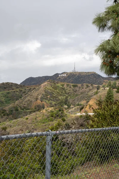 Los Angeles California ABD. Yüksek kalite fotoğraf
