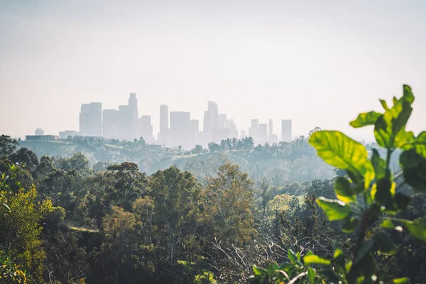 Los Angeles California ABD. Yüksek kalite fotoğraf