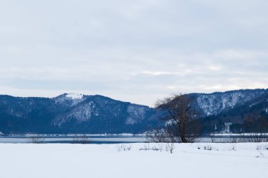 Shiga Bölgesi, Japonya 'da kış ortasında karla kaplı düzlüklerin manzarası.