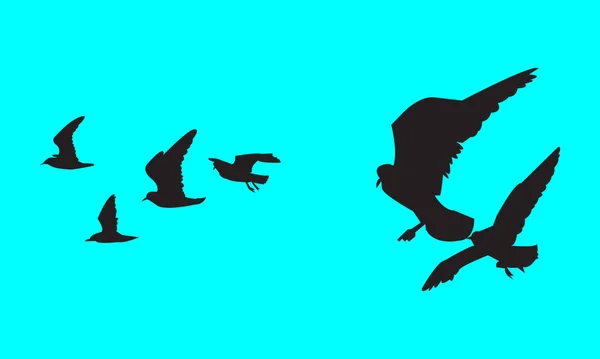 Літаючі Птахи Силует Колокація — стоковий вектор
