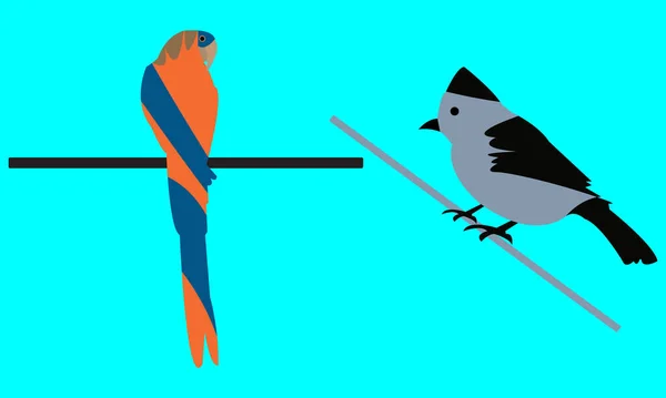 Färgglada Fågel Vektor Illustration — Stock vektor