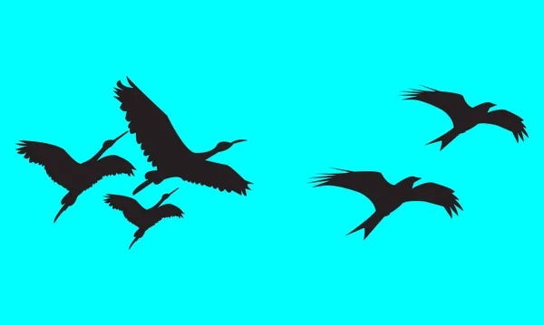 Літаючі Птахи Силует Колокація — стоковий вектор