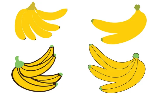 Muz Vektörü Çizim Koleksiyonu 