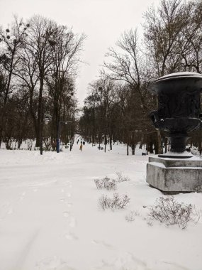 Ukrayna 'daki Lviv şehri, sokaklar, binalar, restoranlar, parklar, tapınaklar ve diğer güzel yerler..