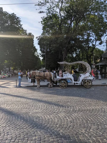 Ville Parc Lviv Ukraine — Photo