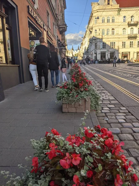 Pessoas Andando Cidade Velha Cidade Lviv Ucrânia — Fotografia de Stock