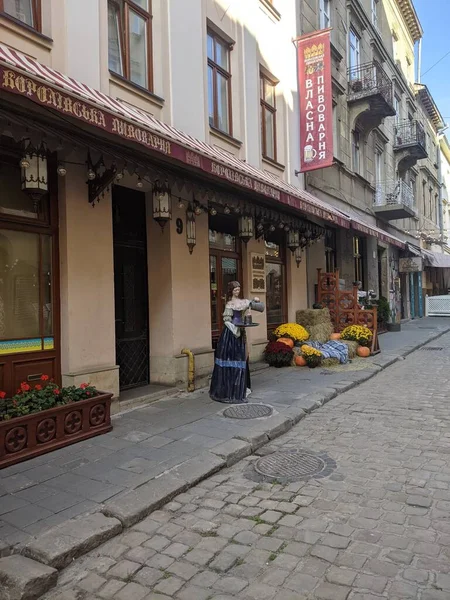 Vista Rua Cidade Lviv Ucraniano — Fotografia de Stock