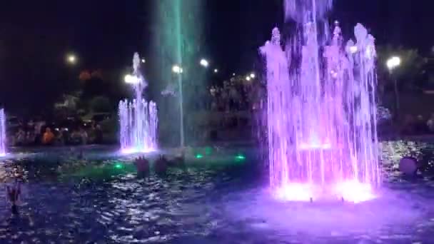 Fantastic Fountain Night City — ストック動画