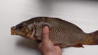 Elinde sazan balığı var. Çok lezzetli bir balık..