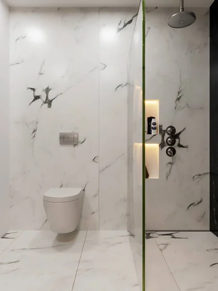 Render Modern End Bathroom Interior Design — Foto Stock