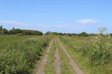 Lunt 'taki Doğa Rezervi' nin güzel bir manzarası. Bu fotoğraf açık mavi gökyüzü ile sıcak ve güneşli bir öğleden sonra çekildi..