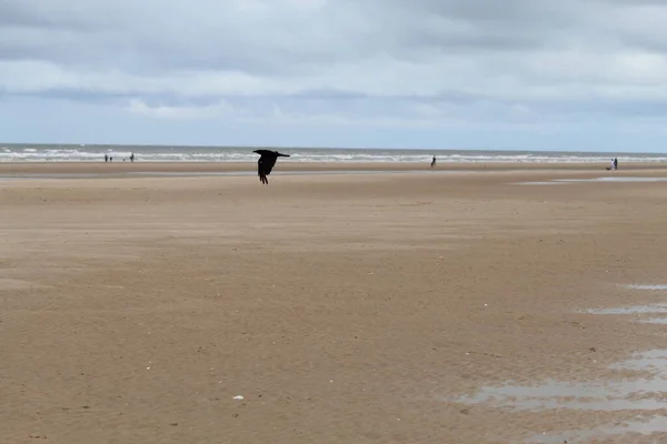 Krásná Krajina Pořízená Formby Beach Liverpoolu Merseyside Tato Pláž Nachází — Stock fotografie