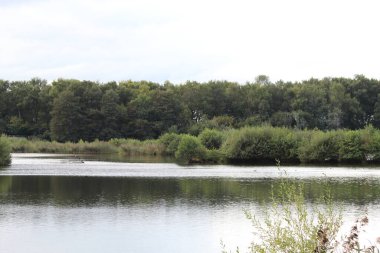Sonbaharın başlarında yapraklar düşmeye ya da renk değiştirmeye başlamadan önce çekilmiş doğal bir rezervden güzel bir manzara resmi..