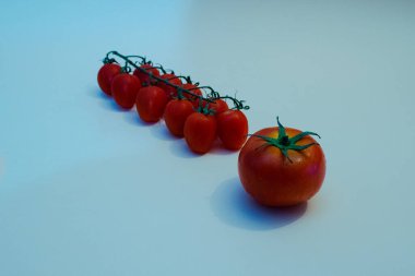 Mavi arka planda izole edilmiş taze kiraz domatesleri. Düz konsept.