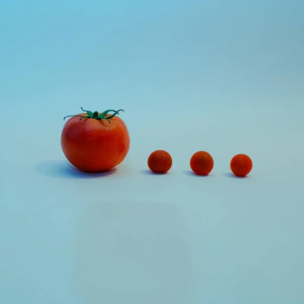 Tomates Fraîches Isolées Sur Fond Bleu Concept Pose Plate — Photo