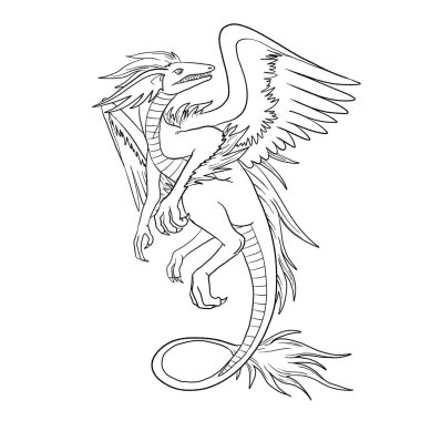 Bir ejderhanın siyah-beyaz renkli mürekkep çizimi.