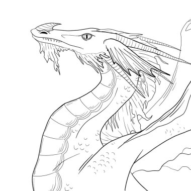 Bir ejderhanın siyah-beyaz renkli mürekkep çizimi.