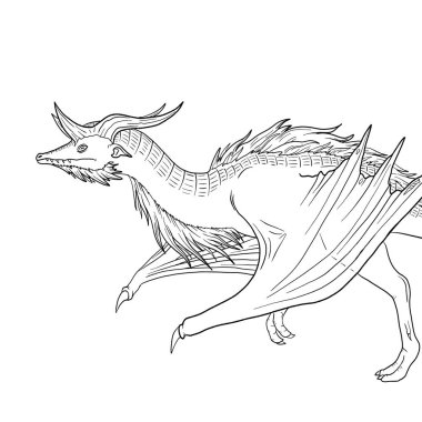 Bir ejderhanın siyah-beyaz renkli mürekkep çizimi.
